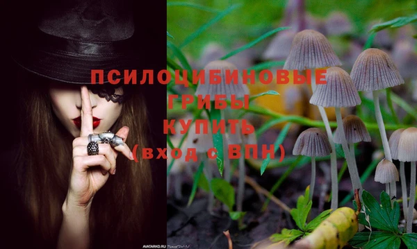 бошки Козловка